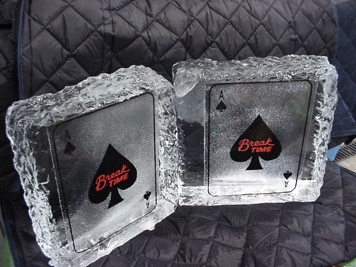 Carving Blocks Tiger Ice